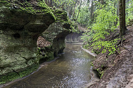 Bitterbachschlucht