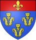 Coat of arms of Pithiviers