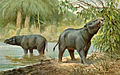 Moeritherium lyonsi um proboscídeo primitivo