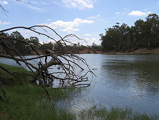 Dr Murray bi Boundary Bend