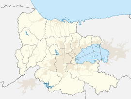 Mariara (Carabobo)