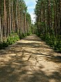 Sobibór Himmelstrasse "Nebeská cesta"