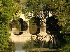 Pont et son reflet dans l'eau au milieu des arbres.