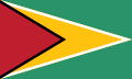 Guyana op de Olympische Zomerspelen 2016