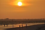 Thumbnail for File:Fort Myers Beach Sunset1.jpg