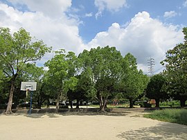 井田公園