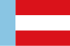 Flag of Salamina (Caldas)