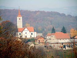 Pohled na Hrašćinu