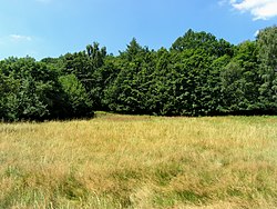 Přírodní park Loučenská hornatina u Háje u Duchcova