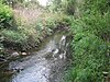 Silk Stream in Silkstream Park