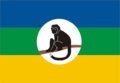 Flag of the Kingdom of Rwenzururu, Uganda (1963–1982)