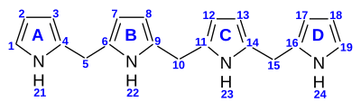 Nummerierung der Tetrapyrrole