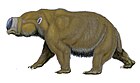 Diprotodon optatum