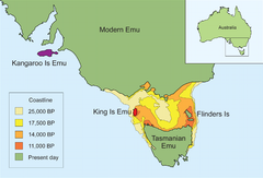 Distribuição geográfica de táxons de emu e reconstruções históricas da costa ao redor da Tasmânia