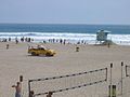 Huntington State Beach nahe dem Pier