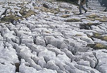 Roches de surface érodées parcourues de cannelures.