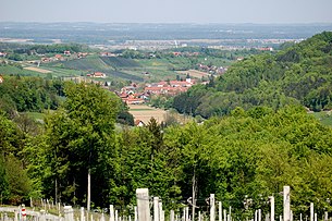 Blick auf Gamlitz vom Schererkogl