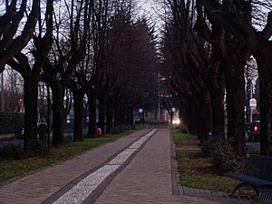 Viale delle Rimembranze