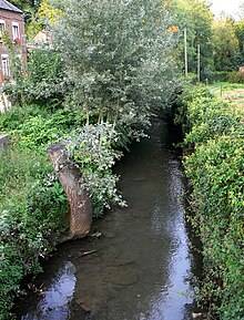 L'Hogneau à Bellignies.