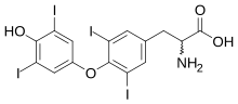 Thyroxine.svg