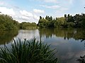 Lake at Brick Kiln Holt