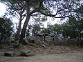 Dolmen Cova d'en Daina