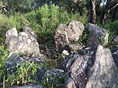 Dolmen de Saint-Sébastien no 1