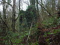 The Craig Mill ruins from below Linn Spout. This mill was associated with Kilwinning Abbey, together with Garnock and Sevenacres mills.[18]