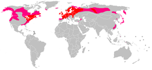 Description de l'image Drosera rotundifolia Distribution Map.png.