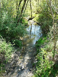 La Duche au pont de la RD 730.