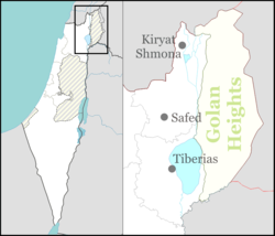 Kinneret is located in Northeast Israel