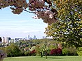 Frühlingsblüte auf dem Lohrberg