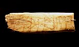 Ochre horse illustration from the Creswell Crags; 11000-13000 BC.[20]