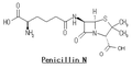 ペニシリン N