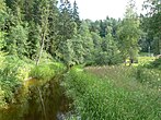 Ljusterån i Säterdalens naturreservat