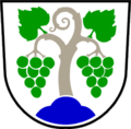 Wappen von Vipava