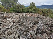 Dolmen des Pousselons