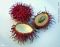 isi rambutan