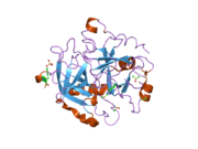 1wbg: ACTIVE SITE THROMBIN INHIBITORS