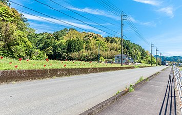 新野インターチェンジ建設地