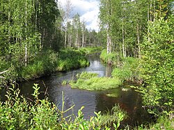 Nuanjoki Ponteman lähellä.