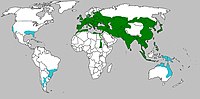 Distribución no mundo. En azuis onde foron introducidos.