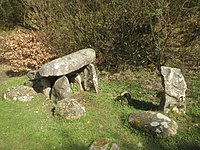 Wedge Tomb von Ballybriest (An Creagán)