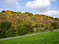 Verwaldende Weinberge im unteren Hergstbachtal