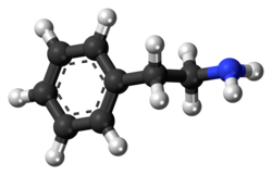 Ball-and-stick model of phenethylamine