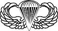 Distintivo Parachutist