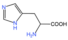 Amino Acid Histidine.png