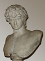 Bust of Antinous in the Palazzo Altemps museum in Rome