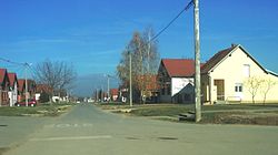 Bogdanovci, ulica