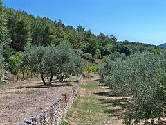 Luberon (France)